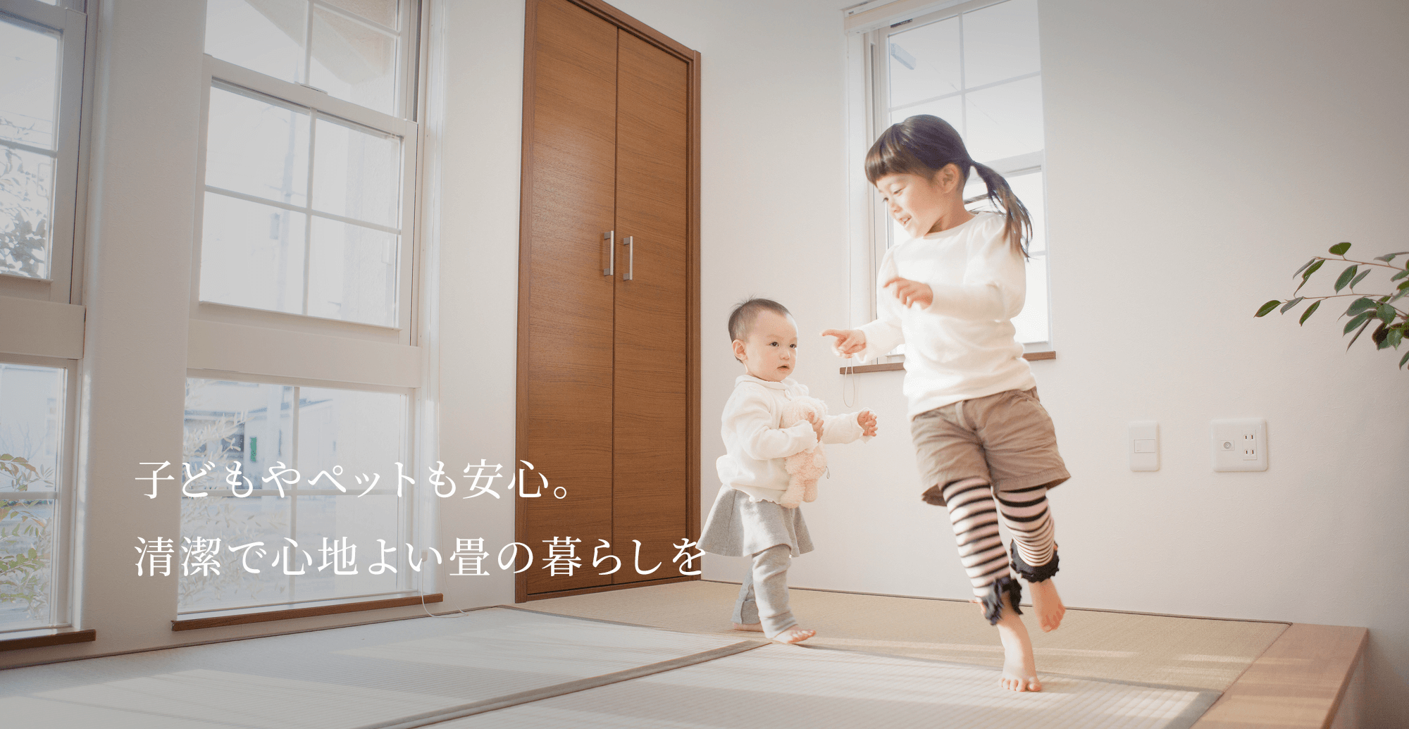 子どもやペットも安心。清潔で心地よい畳の暮らしを